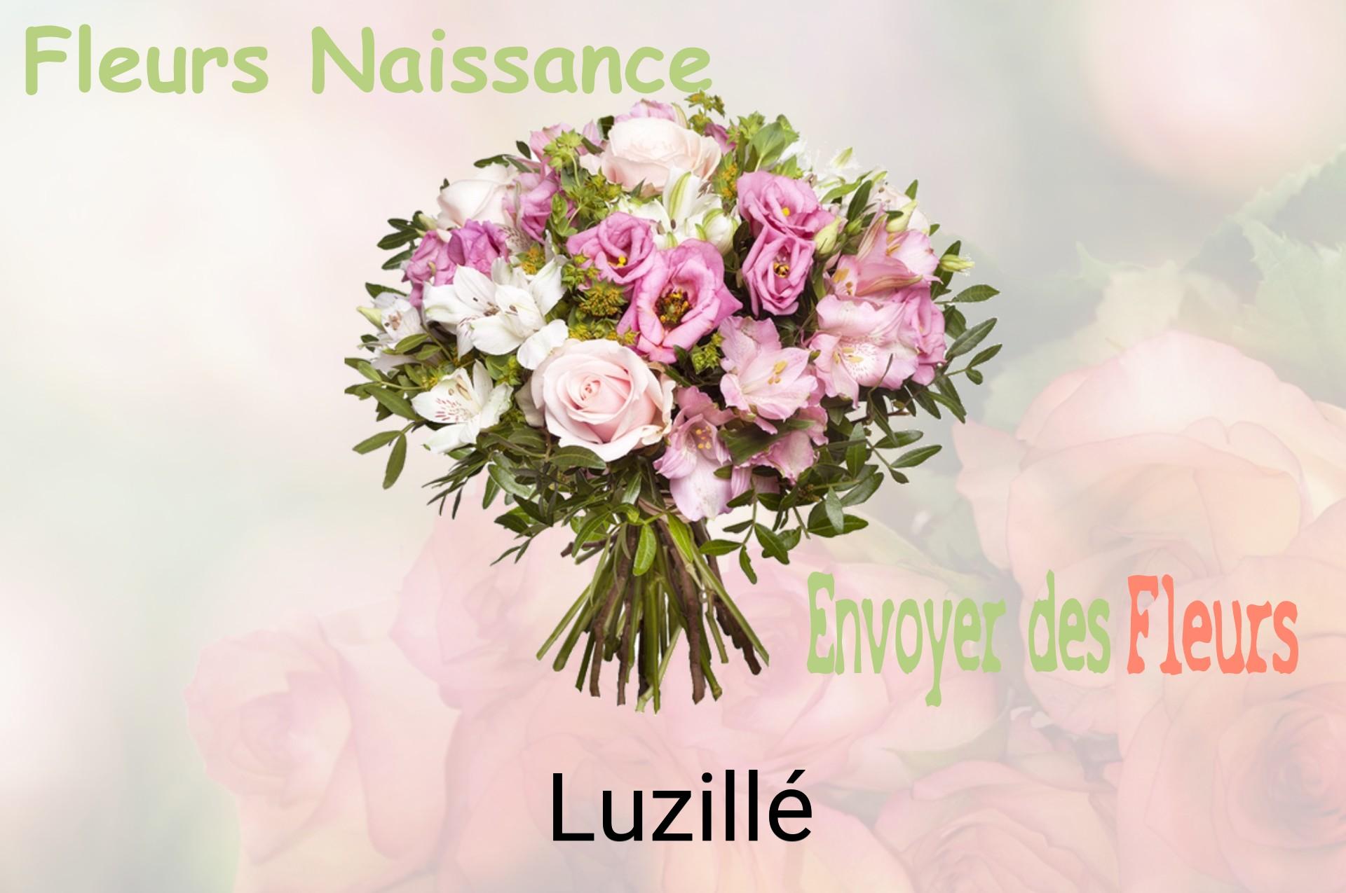 Bouquet de fleurs de naissance livré à Luzillé