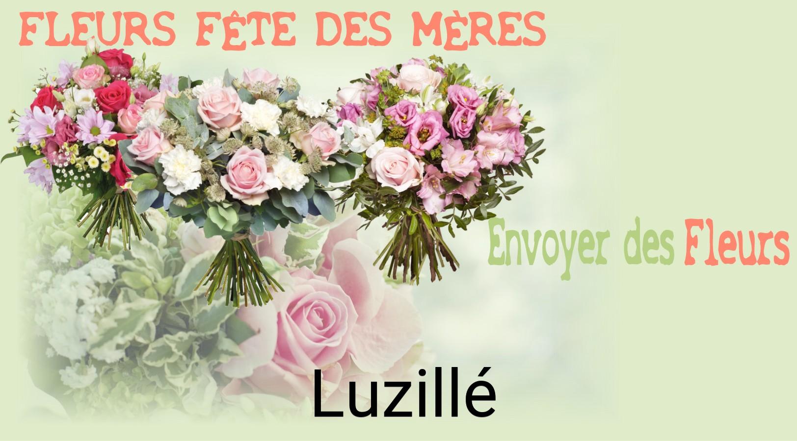 Bouquet de Fête des Mères livré à Luzillé